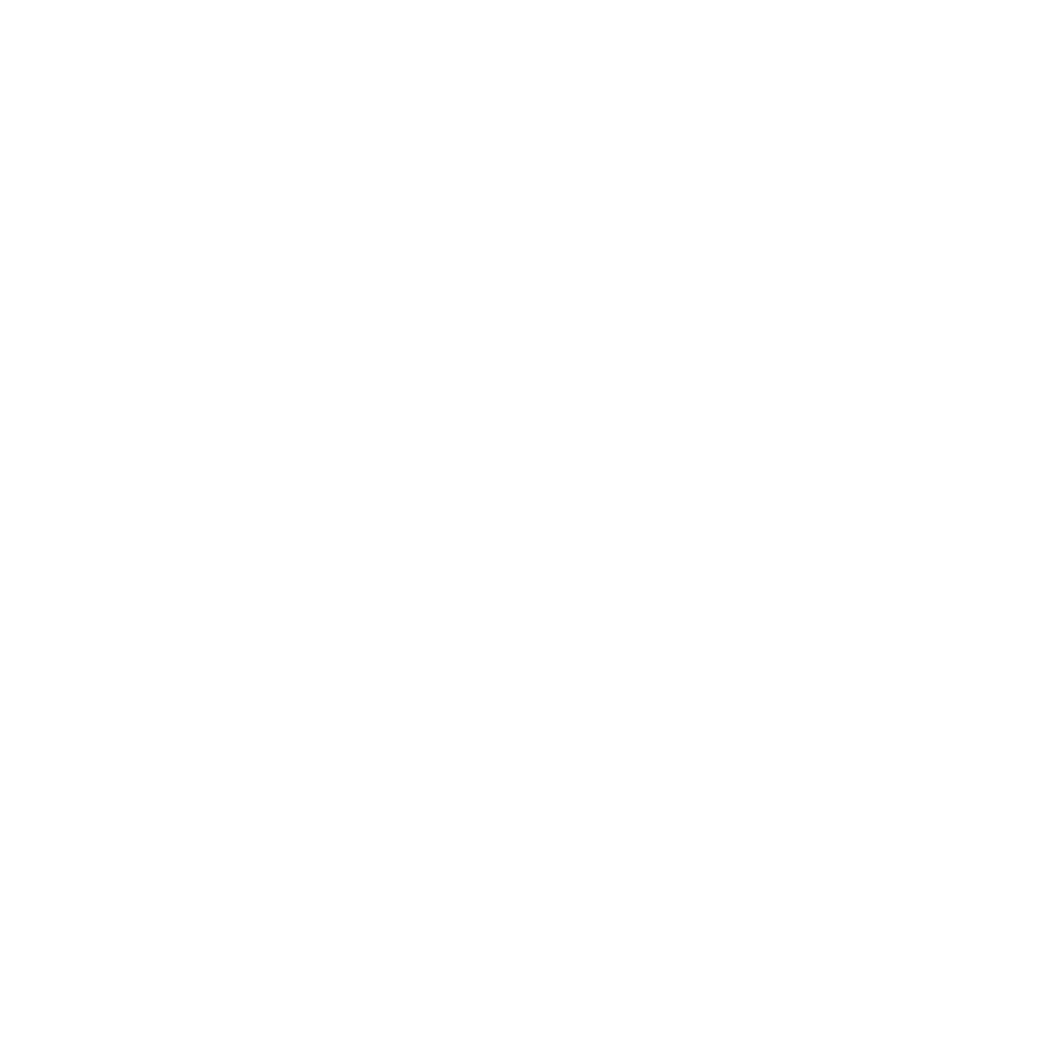 Bull Fit Logo 2